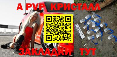 стафф Будённовск