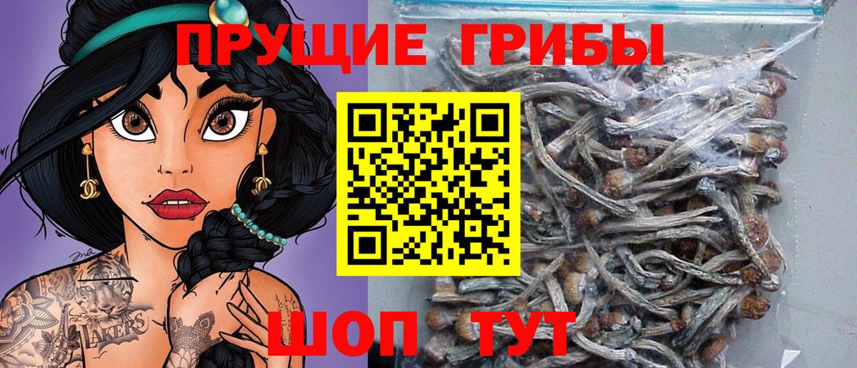 Галлюциногенные грибы мухоморы  Вход с VPN  Урус-Мартан 